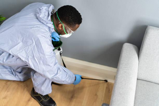 Best Indoor Pest Control  in Hillcrest, NY